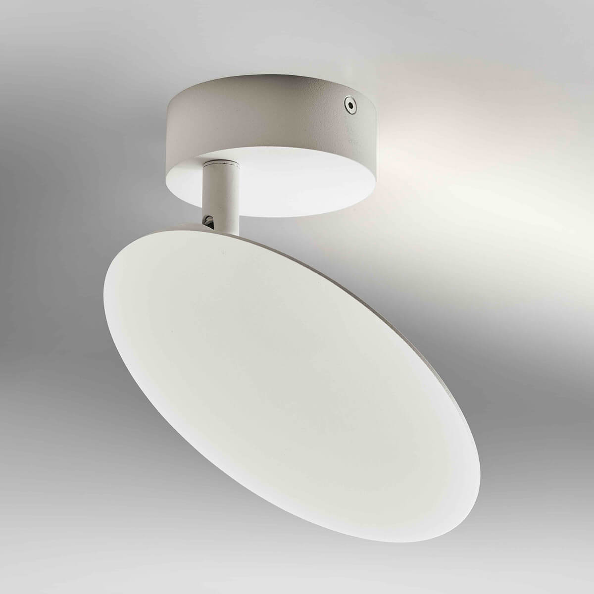 Lupia Licht Plate LED Wand- / Deckenleuchteweiß